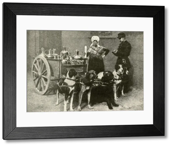 Framed Print : Milkwoman with government inspector, Belgium Framed Print : Milkwoman with government inspector, Belgium