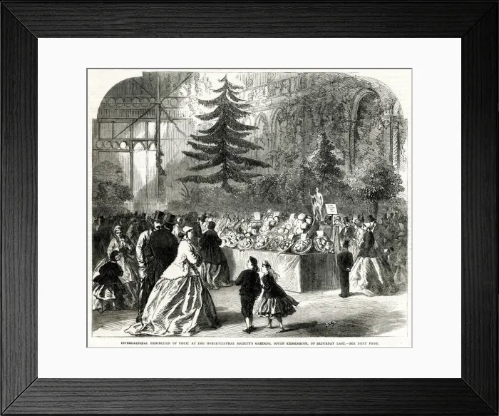 Framed Print : International Exhibition, Horticultural Society Gardens 1865 Framed Print : International Exhibition, Horticultural Society Gardens 1865