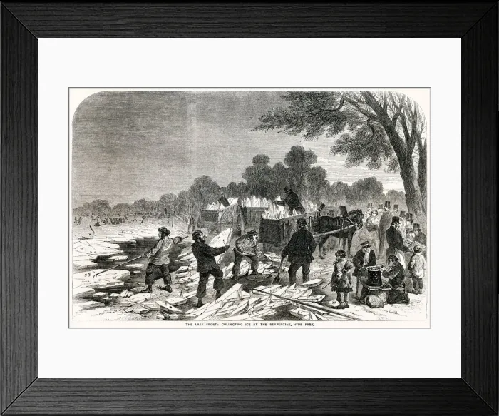 Framed Print : Collecting ice at Serpentine, Hyde Park 1857 Framed Print : Collecting ice at Serpentine, Hyde Park 1857