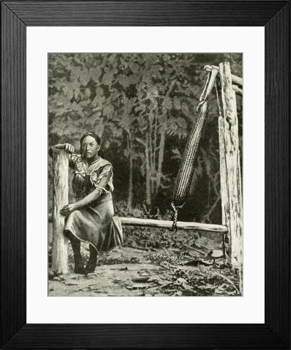 Framed Print : Woman preparing food from cassava plant, Brazil Framed Print : Woman preparing food from cassava plant, Brazil