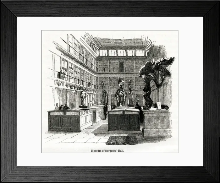 Framed Print : Osteological room in College of Surgeons 1880s Framed Print : Osteological room in College of Surgeons 1880s