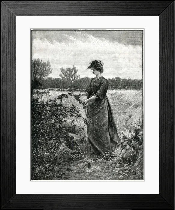 Framed Print : Blackberry picking 1880 Framed Print : Blackberry picking 1880