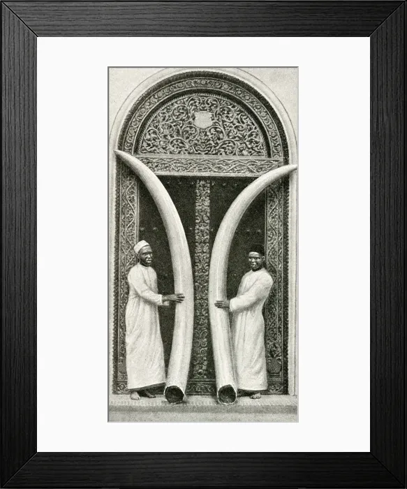 Framed Print : Men of Zanzibar holding large tusks, Tanzania, East Africa Framed Print : Men of Zanzibar holding large tusks, Tanzania, East Africa