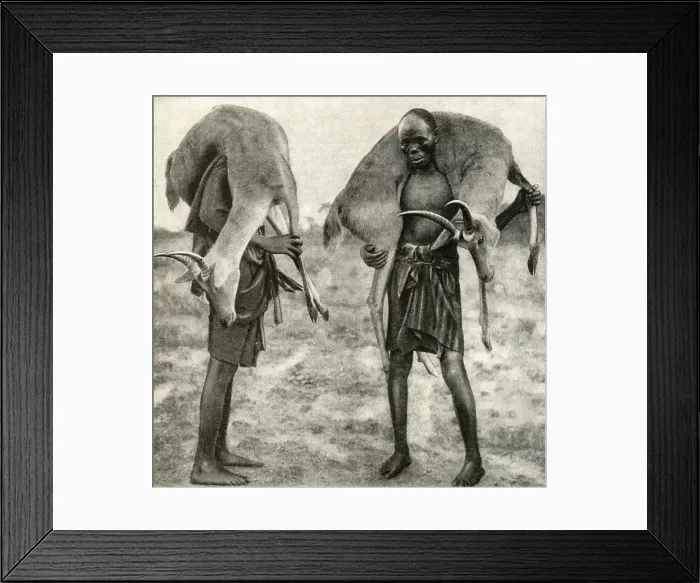 Framed Print : Huntsmen with game, Tanganyika, East Africa Framed Print : Huntsmen with game, Tanganyika, East Africa