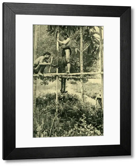 Framed Print : Young Kayan man making a blowpipe, Borneo, SE Asia Framed Print : Young Kayan man making a blowpipe, Borneo, SE Asia