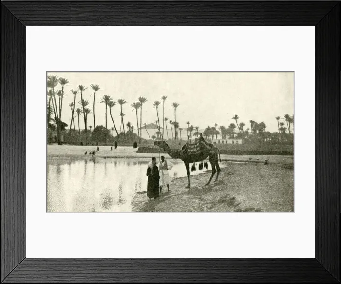 Framed Print : People with camel by the waterside, Sakkara, Egypt Framed Print : People with camel by the waterside, Sakkara, Egypt