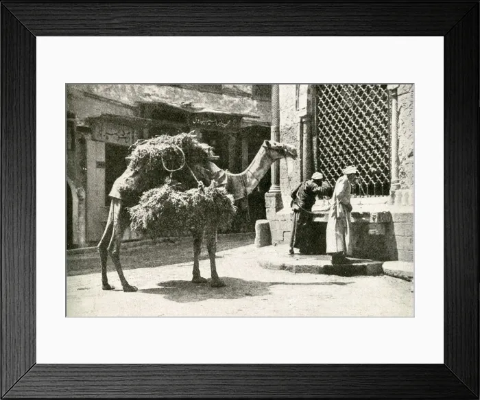 Framed Print : Men and camel at a fountain, Cairo, Egypt Framed Print : Men and camel at a fountain, Cairo, Egypt