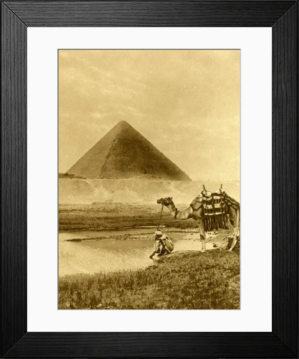 Framed Print : Man with camel near the Pyramid of Cheops, Giza, Egypt Framed Print : Man with camel near the Pyramid of Cheops, Giza, Egypt