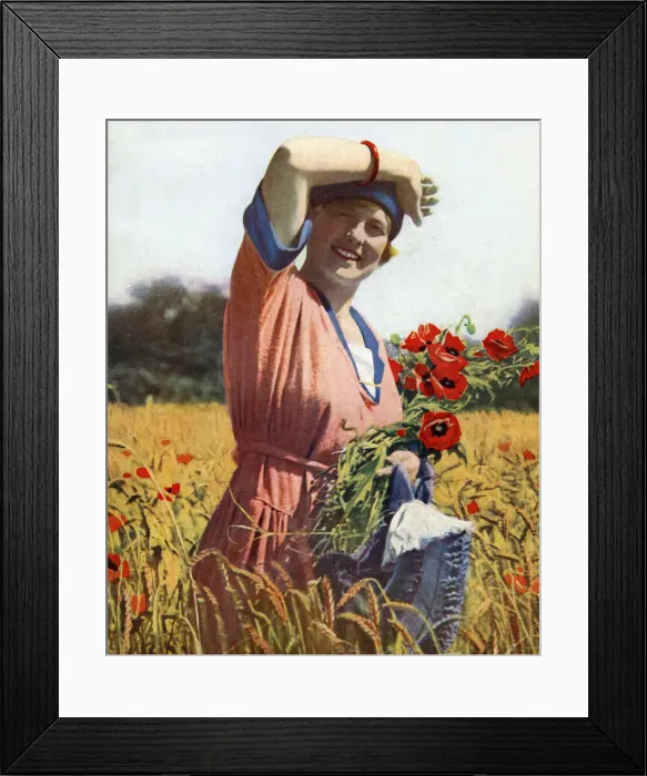 Framed Print : Young woman in a field of poppies, England Framed Print : Young woman in a field of poppies, England