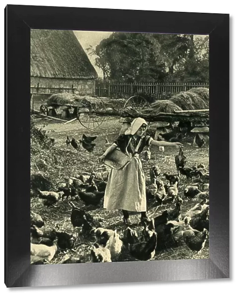 Dairymaid feeding chickens, Isle of Wight
