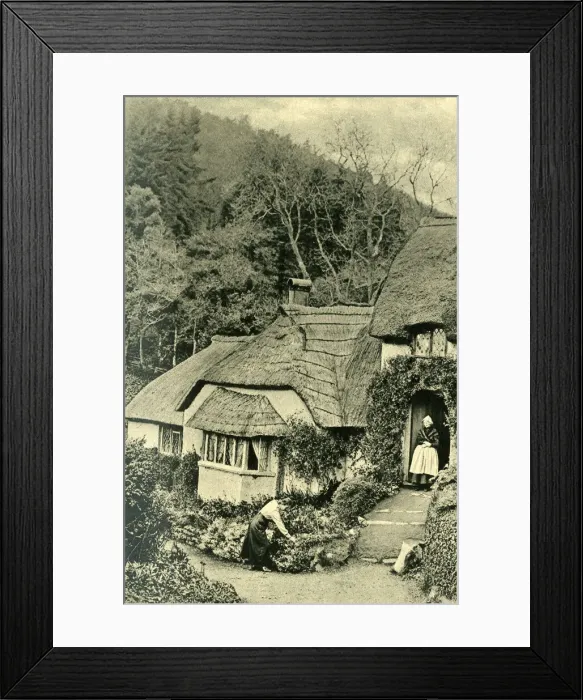 Framed Print : Cottage in the village of Selworthy Green, Somerset Framed Print : Cottage in the village of Selworthy Green, Somerset