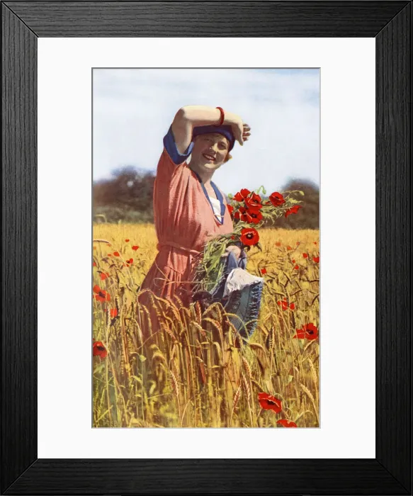Framed Print : Young woman in a field of poppies, England Framed Print : Young woman in a field of poppies, England