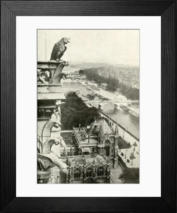 Framed Print : Aerial view from Notre Dame Cathedral, Paris, France Framed Print : Aerial view from Notre Dame Cathedral, Paris, France