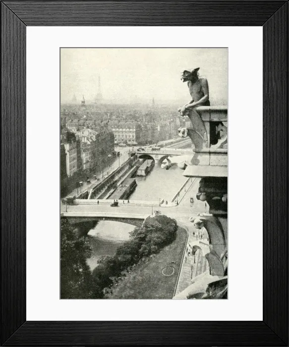 Framed Print : Aerial view from Notre Dame Cathedral, Paris, France Framed Print : Aerial view from Notre Dame Cathedral, Paris, France