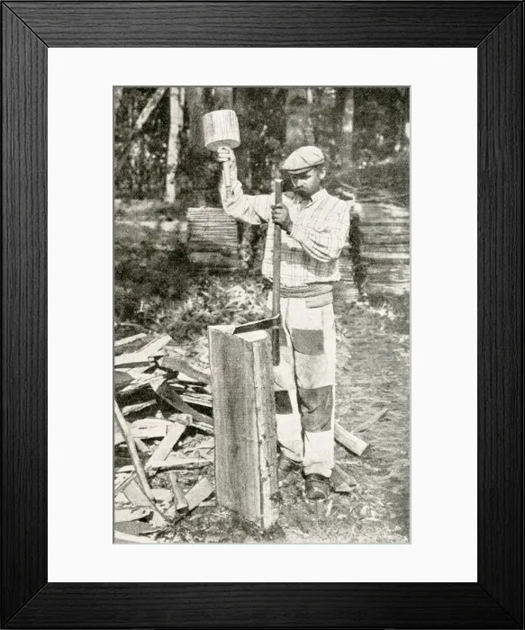 Framed Print : Woodcutter at work, Chambord, Loir-et-Cher, France Framed Print : Woodcutter at work, Chambord, Loir-et-Cher, France