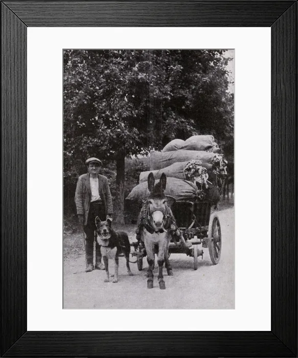 Framed Print : Man with donkey and dog on a road in France Framed Print : Man with donkey and dog on a road in France