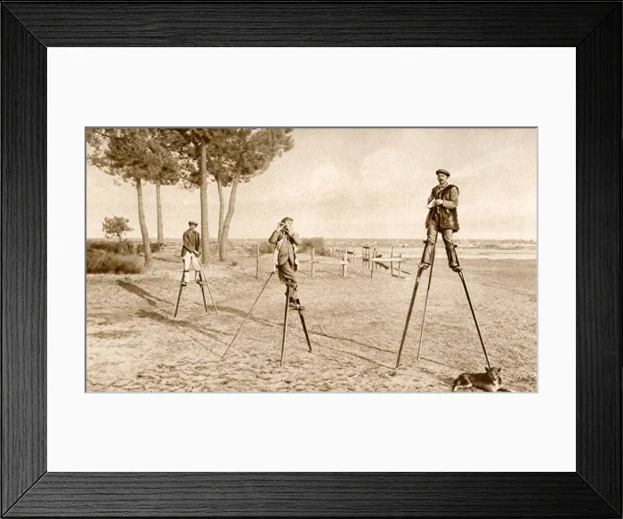 Framed Print : Men on stilts in Les Landes, south west France Framed Print : Men on stilts in Les Landes, south west France