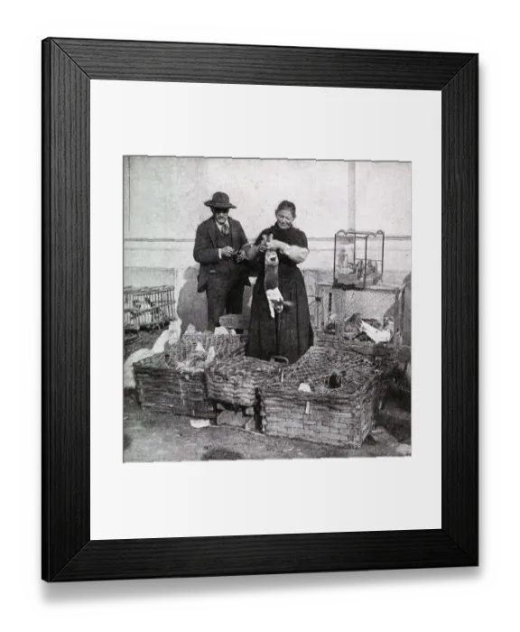 Framed Print : Street market scene in Nice, Alpes-Maritimes, France Framed Print : Street market scene in Nice, Alpes-Maritimes, France