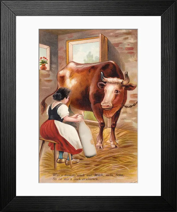 Framed Print : Woman milking cow on a comic German greetings card Framed Print : Woman milking cow on a comic German greetings card