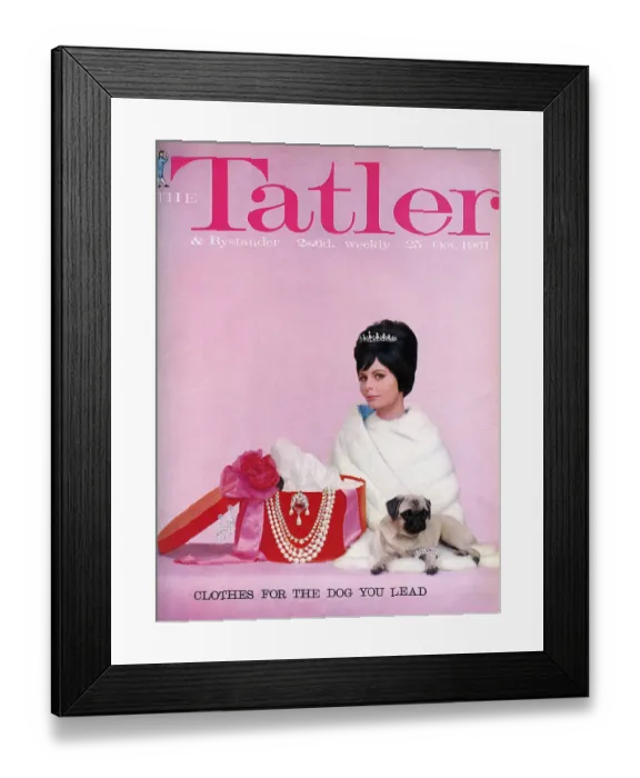 Framed Print : Tatler cover Clothes for the Dog You Lead 1961 Framed Print : Tatler cover Clothes for the Dog You Lead 1961
