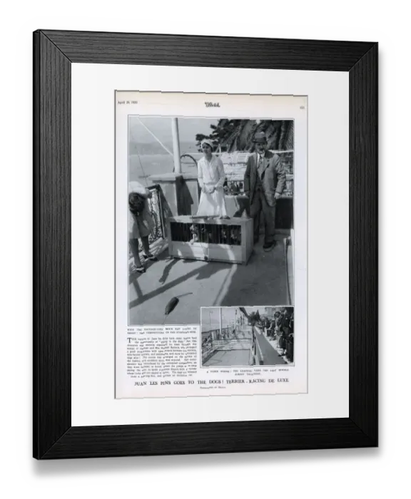 Framed Print : Terrier racing in Juan les Pins Framed Print : Terrier racing in Juan les Pins