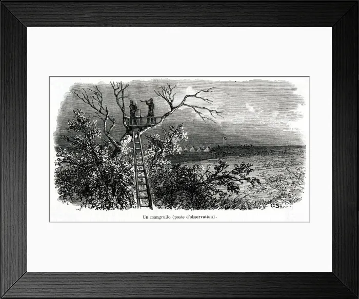 Framed Print : A Mangrullo Framed Print : A Mangrullo