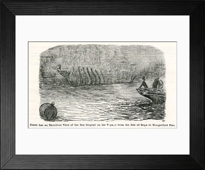 Framed Print : Cartoon, Jones has an excellent view of the Sea Serpent 1856 Framed Print : Cartoon, Jones has an excellent view of the Sea Serpent 1856