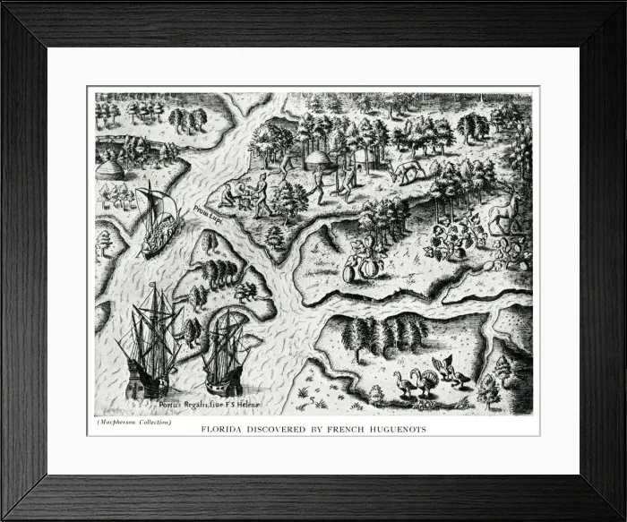 Framed Print : Florida Discovered by French Huguenots Framed Print : Florida Discovered by French Huguenots