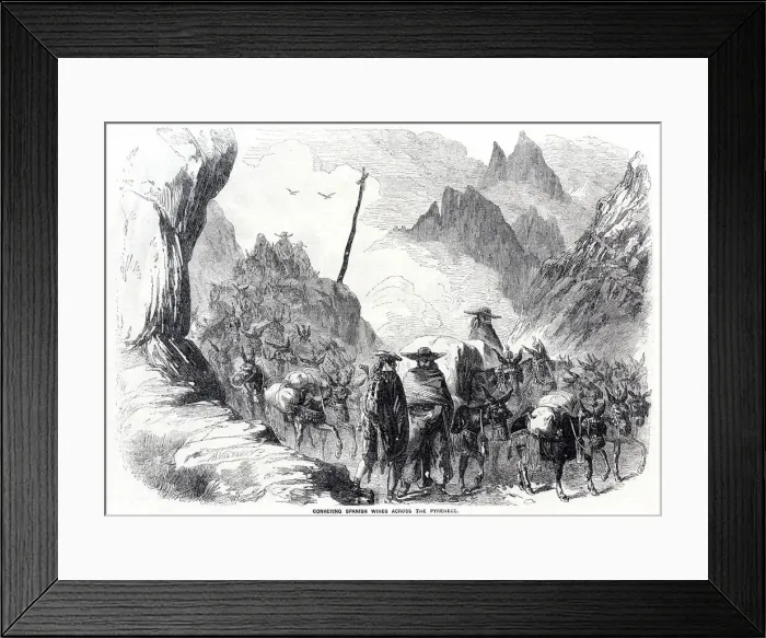 Framed Print : Mules carrying Spanish wines across the Pyrenees Framed Print : Mules carrying Spanish wines across the Pyrenees