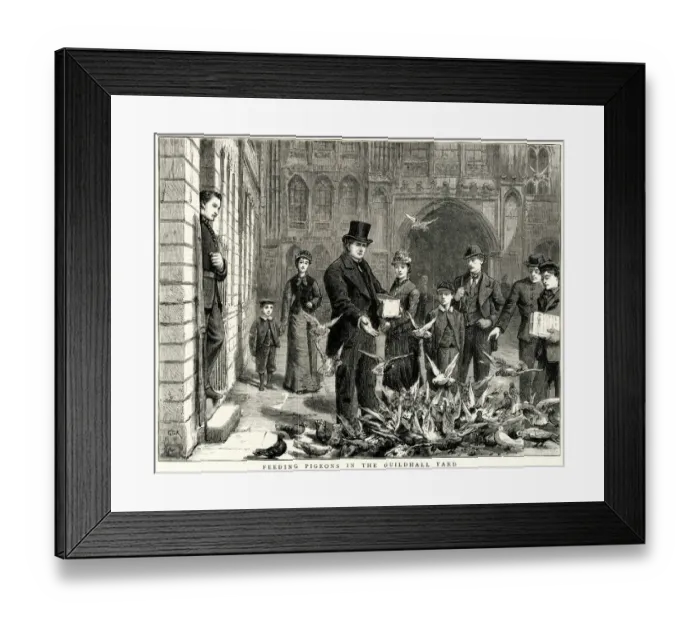 Framed Print : Feeding pigeons in the Guildhall Yard, City of London 1877 Framed Print : Feeding pigeons in the Guildhall Yard, City of London 1877