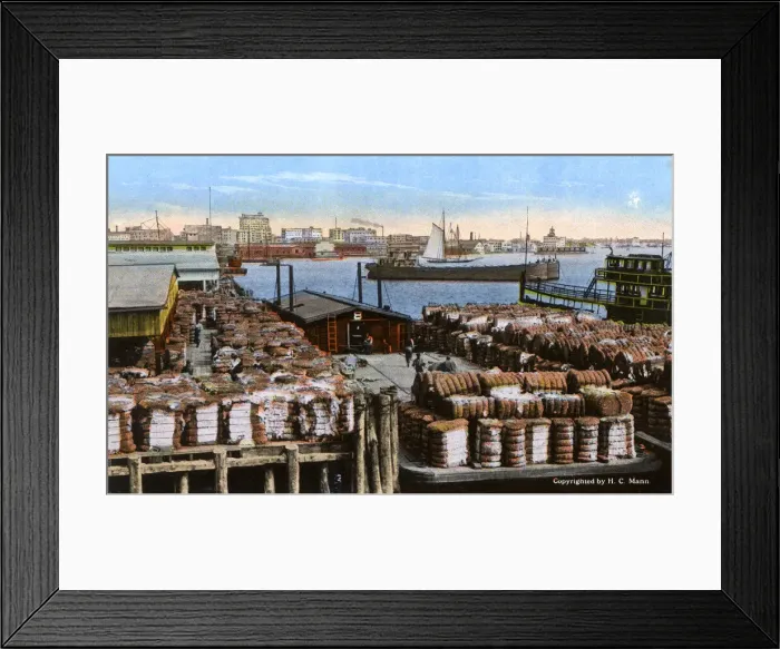 Framed Print : Shipping cotton, Norfolk Harbour, Norfolk, Virginia, USA Framed Print : Shipping cotton, Norfolk Harbour, Norfolk, Virginia, USA