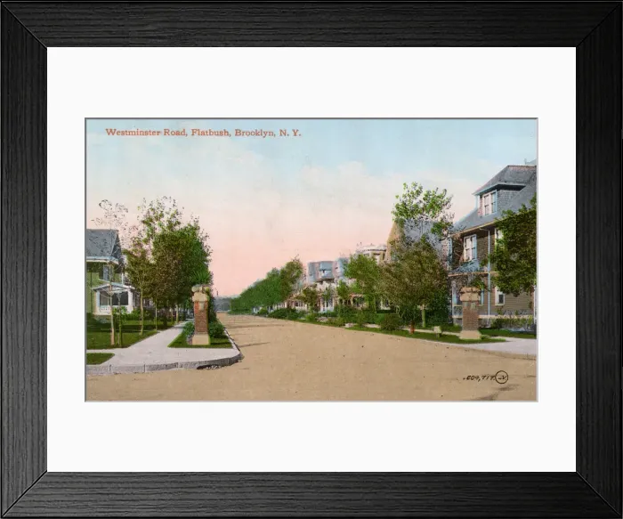 Framed Print : Westminster Road, Flatbush, Brooklyn, New York, USA Framed Print : Westminster Road, Flatbush, Brooklyn, New York, USA