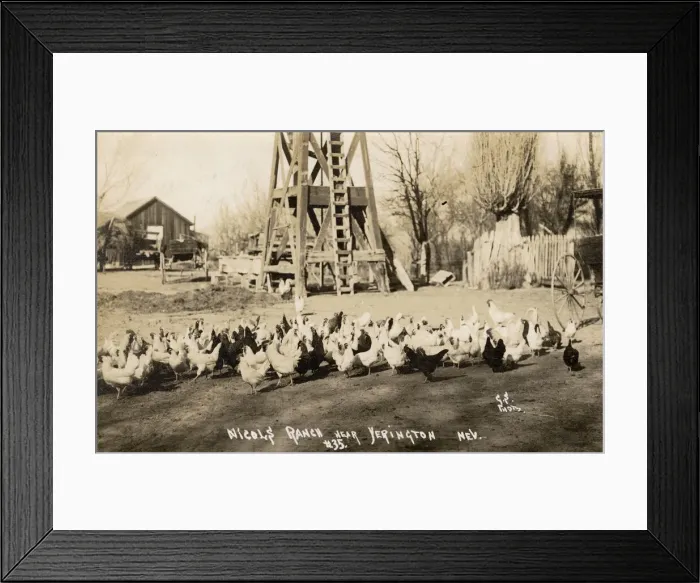 Framed Print : Nichols Ranch, near Yerington, Nevada, USA Framed Print : Nichols Ranch, near Yerington, Nevada, USA