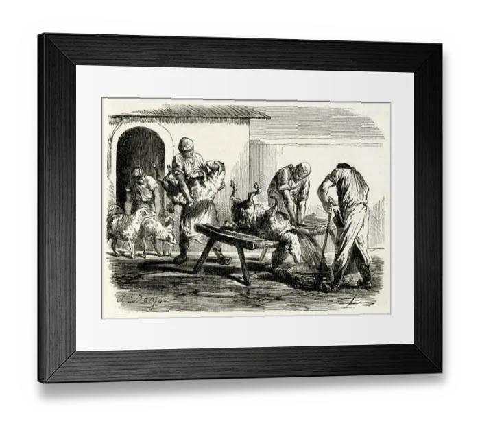 Framed Print : Jewish ritual slaughter 1861 Framed Print : Jewish ritual slaughter 1861