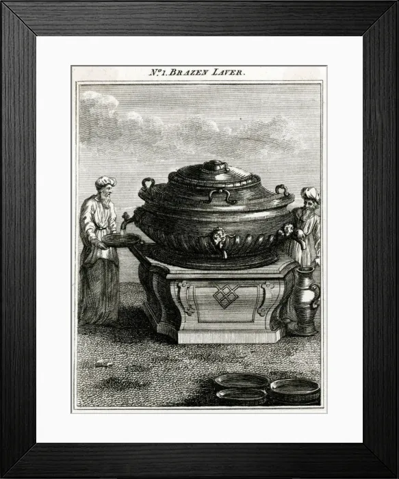 Framed Print : Brazen Laver Framed Print : Brazen Laver