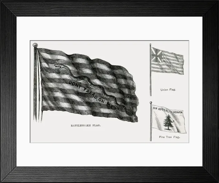 Framed Print : America - Revolutionary Flags Framed Print : America - Revolutionary Flags