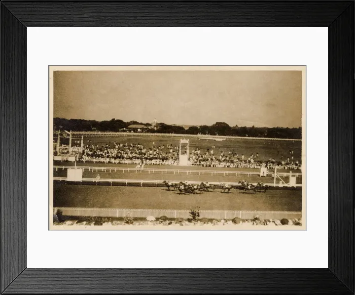 Framed Print : Racecourse in Australia or New Zealand Framed Print : Racecourse in Australia or New Zealand