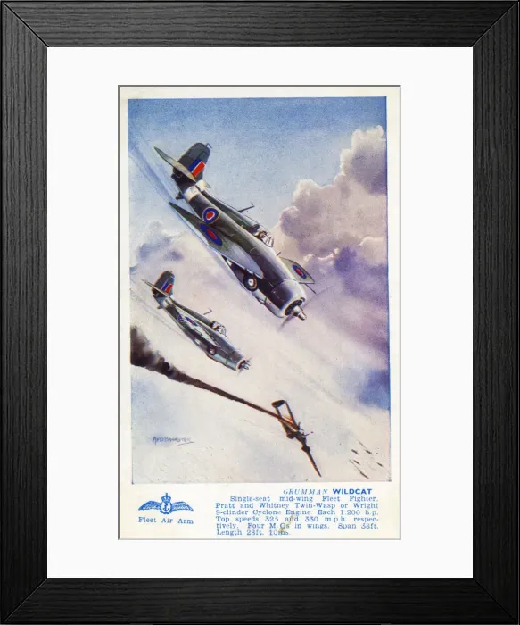Framed Print : Grumman Wildcat Framed Print : Grumman Wildcat