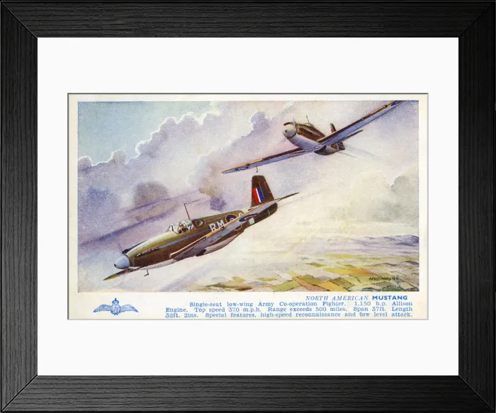Framed Print : North American Mustang Framed Print : North American Mustang