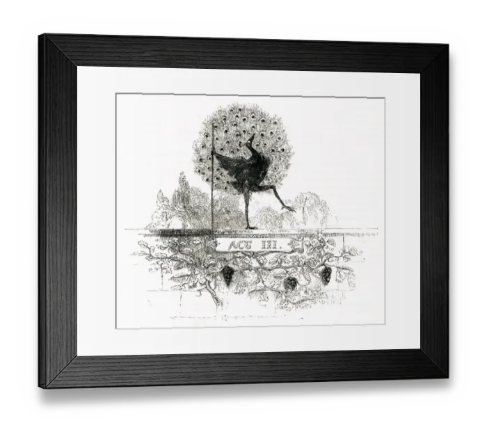 Framed Print : Illustration, Twelfth Night, by William Shakespeare Framed Print : Illustration, Twelfth Night, by William Shakespeare