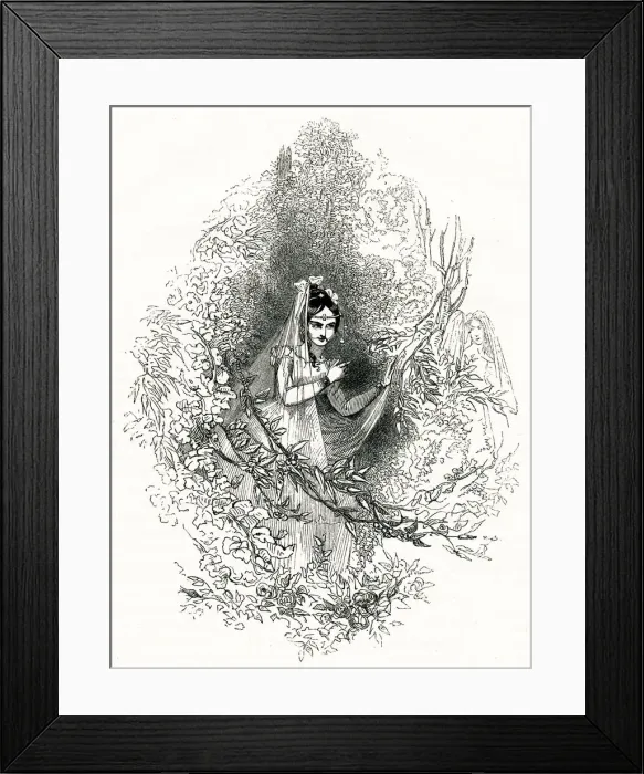Framed Print : Illustration, Much Ado About Nothing, by William Shakespeare Framed Print : Illustration, Much Ado About Nothing, by William Shakespeare