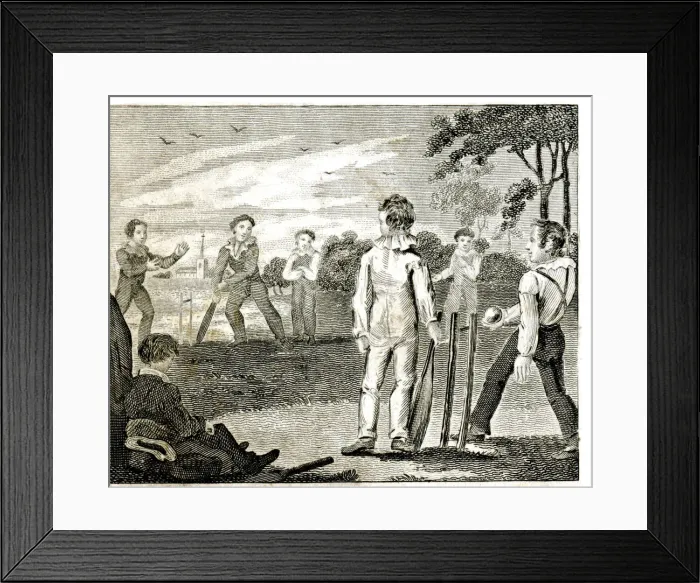Framed Print : Cricket match Framed Print : Cricket match