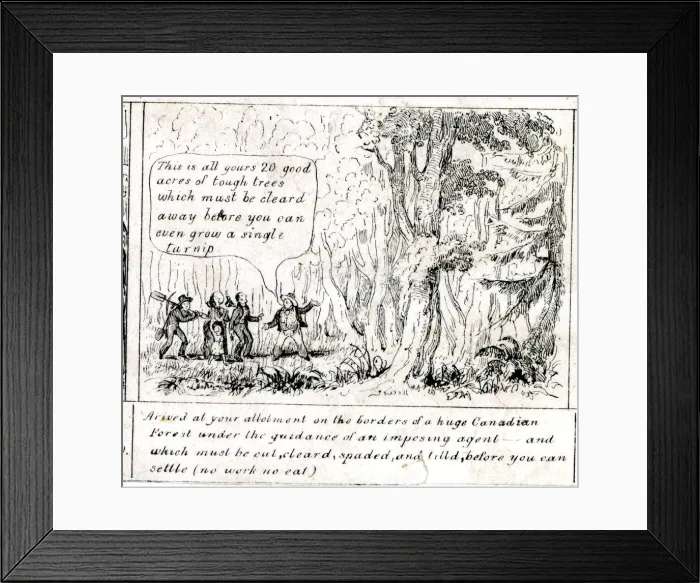Framed Print : Emigration - Arrival in Canadian Forest Framed Print : Emigration - Arrival in Canadian Forest