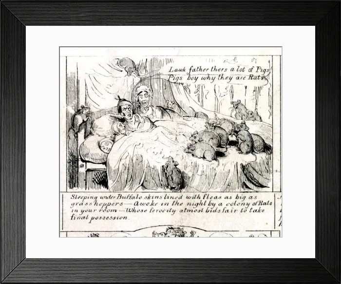 Framed Print : Emigration - Fleas and Rats Framed Print : Emigration - Fleas and Rats