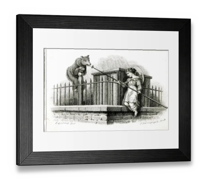 Framed Print : Feeding the Brown Bear at the Zoo Framed Print : Feeding the Brown Bear at the Zoo