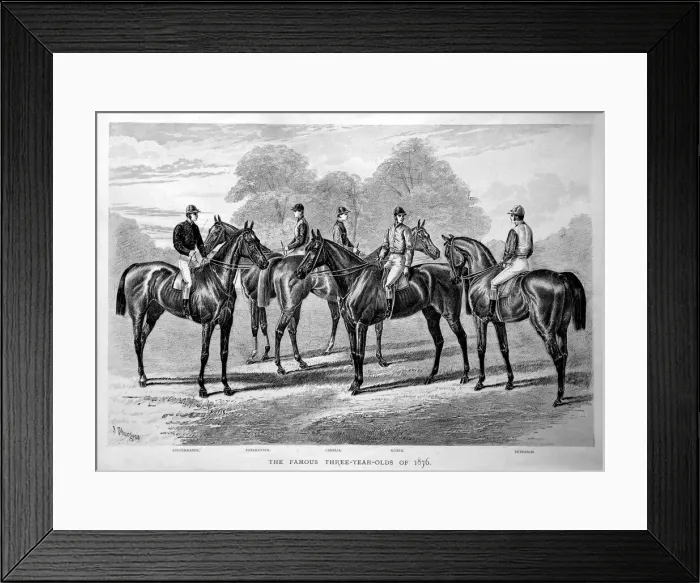 Framed Print : Five famous three-year-old racehorses of 1876 Framed Print : Five famous three-year-old racehorses of 1876