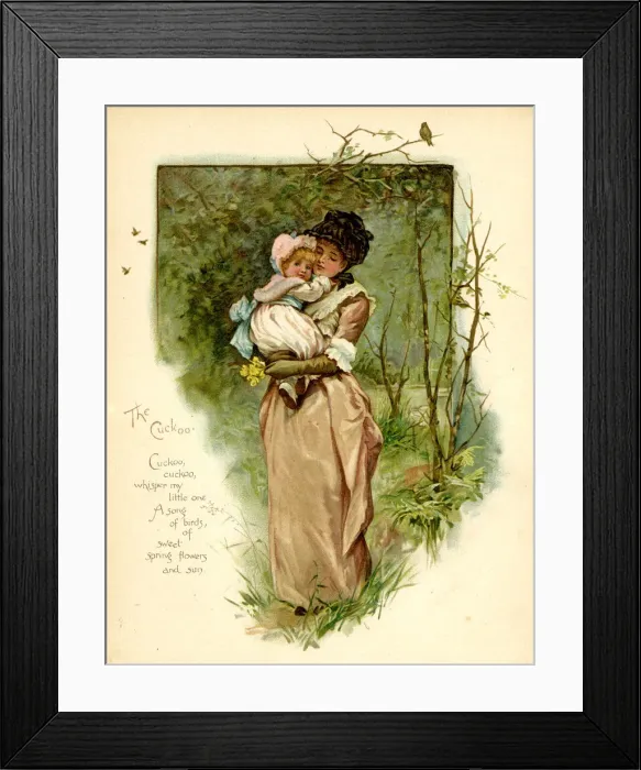 Framed Print : Illustration, The Cuckoo Framed Print : Illustration, The Cuckoo