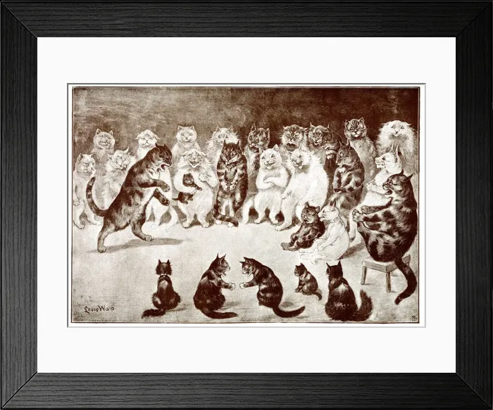 Framed Print : A Funny Story, Comical Cats Framed Print : A Funny Story, Comical Cats