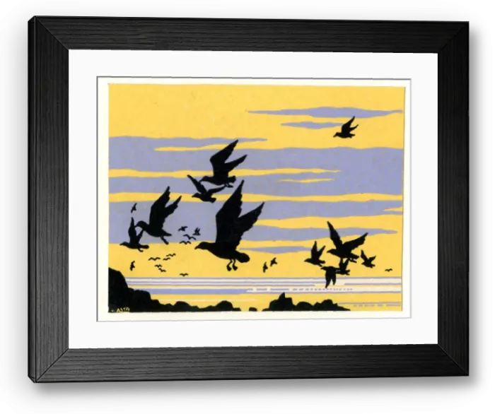 Framed Print : Gulls in Flight Framed Print : Gulls in Flight