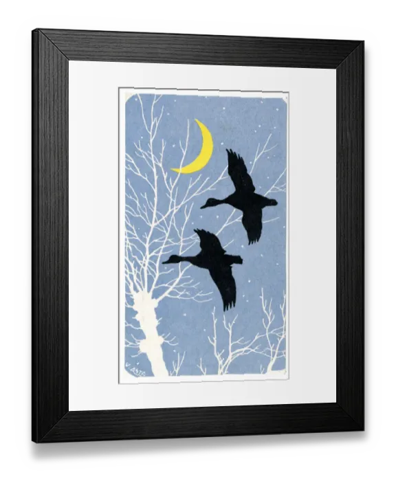 Framed Print : Mallards in Flight Framed Print : Mallards in Flight